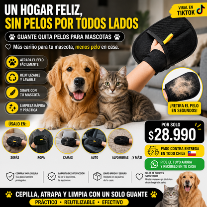 Guante Removedor de Pelos para Mascotas Premium X3