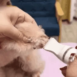 kit_cortadora_gif1