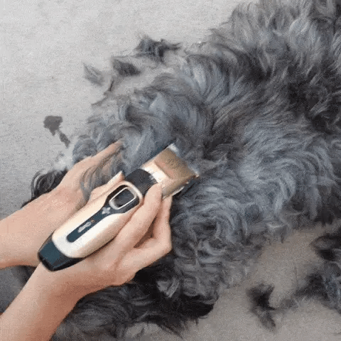 kit_cortadora_gif3