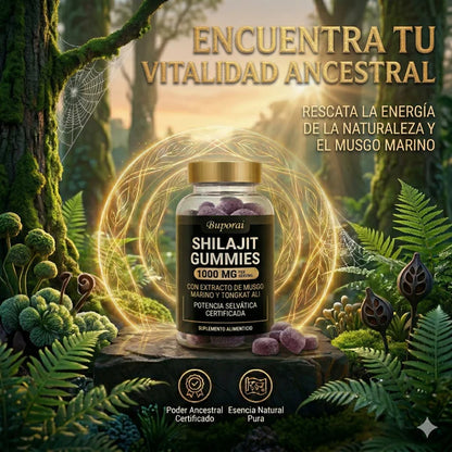 Shilajit Gomitas